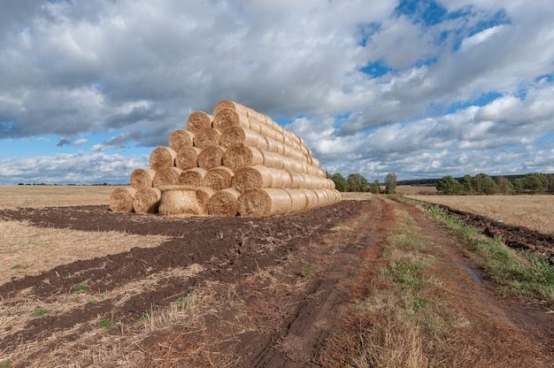 Hermoso paisaje otoñal con vista de rollos de paja en el campo y nubes blancas