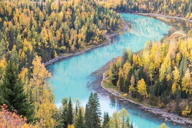 Hermoso paisaje otoñal de xinjiang kanas de la encantadora bahía de la luna China