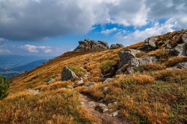 Hermoso paisaje en el otoño de los altos cárpatos en las montañas