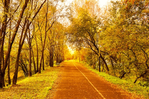 Hermoso paisaje de otoño con callejón estrecho