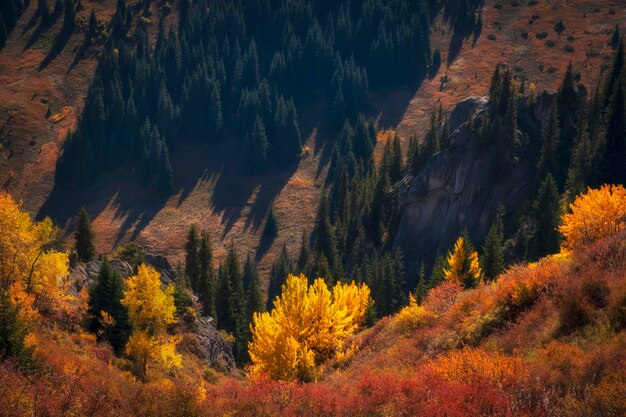 Hermoso paisaje de otoño dorado de montaña con árboles amarillos y hierba roja