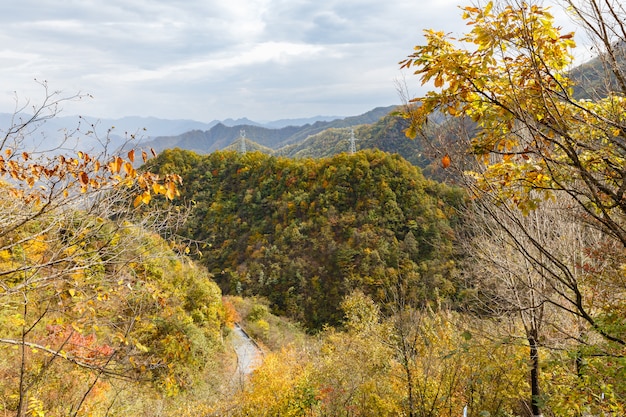 Hermoso paisaje de otoño, provincia de Shaanxi, China