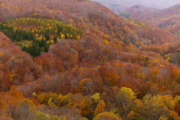 Hermoso paisaje en otoño