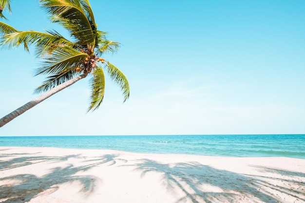 Hermoso paisaje de palmera de coco en la playa tropical