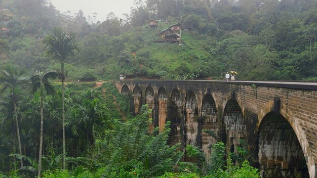 hermoso paisaje con pareja caminando por el puente en la selva acción fabulosa pareja camina sobre piedra