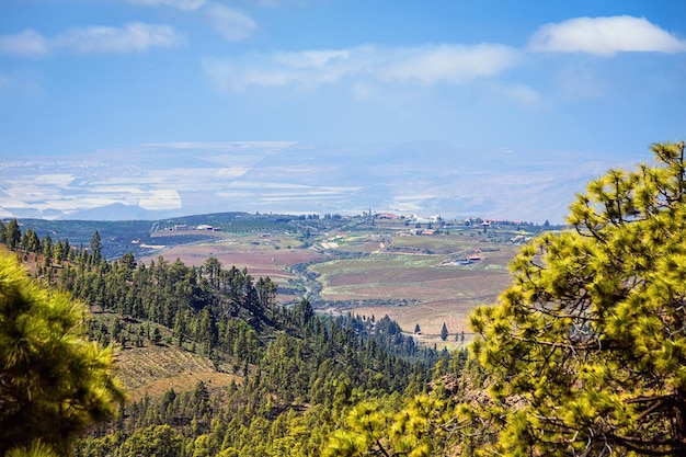 Hermoso paisaje del parque nacional del Teide Tenerife Islas Canarias España