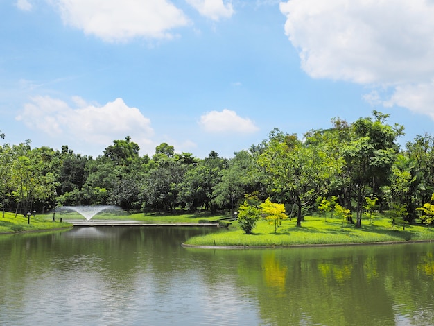 Hermoso paisaje del parque.