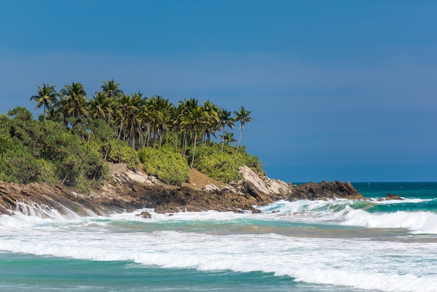 Hermoso paisaje de playa en sri lanka