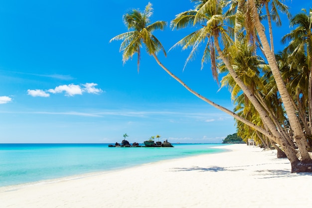 Hermoso paisaje de playa tropical Cocoteros mar velero y arena blanca