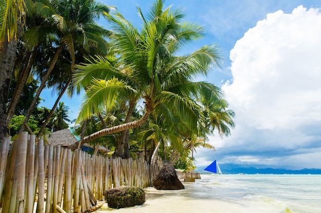 Hermoso paisaje de playa tropical en la isla de Boracay, Filipinas. Cocoteros, mar, velero y arena blanca. Vista de la naturaleza. Concepto de vacaciones de verano.