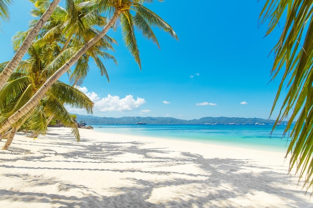 Hermoso paisaje de playa tropical en la isla de Boracay, Filipinas. Cocoteros, mar, velero y arena blanca. Vista de la naturaleza. Concepto de vacaciones de verano.