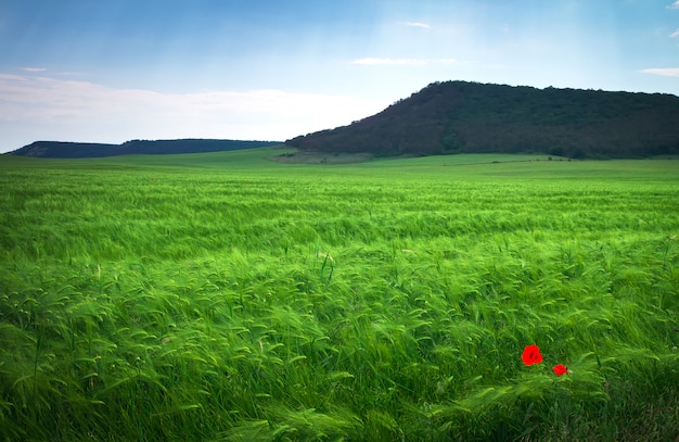 Hermoso paisaje con prado verde, montaña y azul cielo nublado