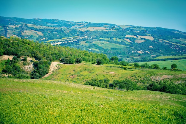 Hermoso paisaje primavera naturaleza campos soleados en las colinas de la Toscana Italia