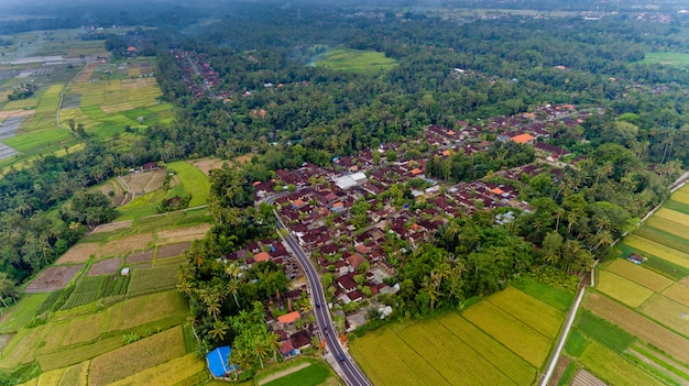 Hermoso paisaje de un pueblo balinés