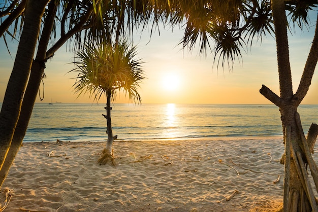 Hermoso paisaje con puesta de sol en la playa tropical con palmeras