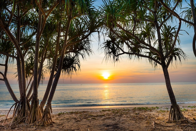 Hermoso paisaje con puesta de sol en la playa tropical con palmeras