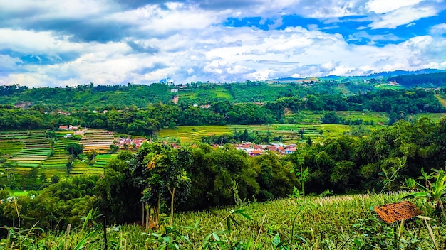 Un hermoso paisaje que alegra la vista al verlo