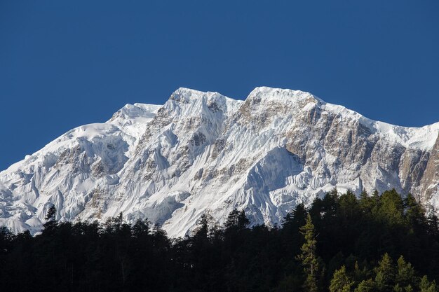 Hermoso paisaje en la región de Himalaya Annapurna Nepal Amanecer en las montañas