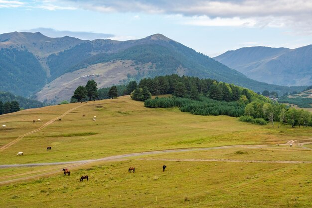 Foto hermoso paisaje de la región montañosa de georgia, tusheti. viajar