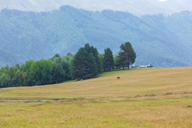 Hermoso paisaje de la región montañosa de Georgia, Tusheti. Viajar