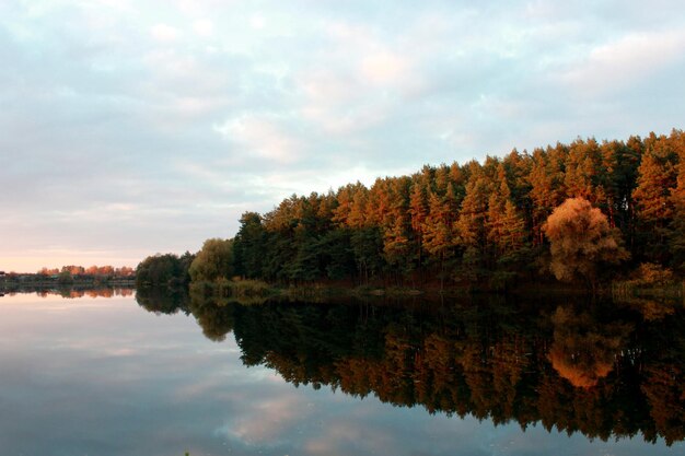 Hermoso paisaje con río y bosque reflejándose en él