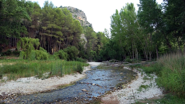 Hermoso paisaje río de montaña, agua corriente, agua clara, piedras blancas en el fondo, Serpis