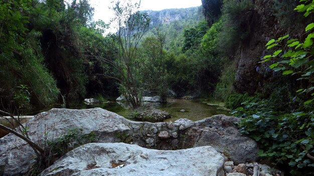 Hermoso paisaje, río de montaña, agua corriente, agua clara, piedras blancas en el fondo