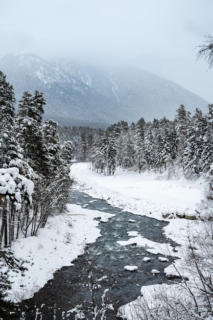 Un hermoso paisaje con un río de montaña, nieve y bosque en Arkhyz en un día nublado de invierno Montañas del Cáucaso Rusia Orientación vertical