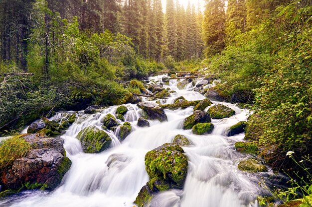 Hermoso paisaje de río de montaña