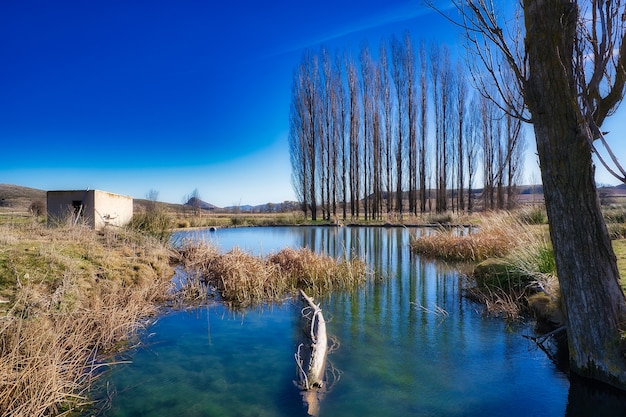 Hermoso paisaje de un río.