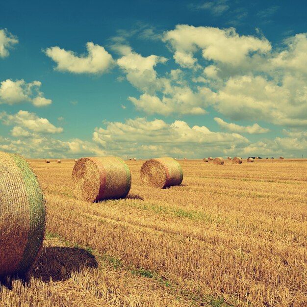 Hermoso paisaje rural Fardos de heno en campos cosechados República Checa Europa Cosecha de fondo agrícola