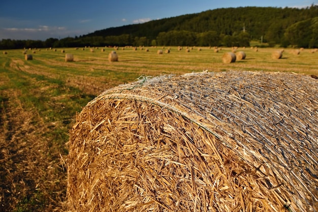 Hermoso paisaje rural Fardos de heno en campos cosechados República Checa Europa Cosecha de fondo agrícola