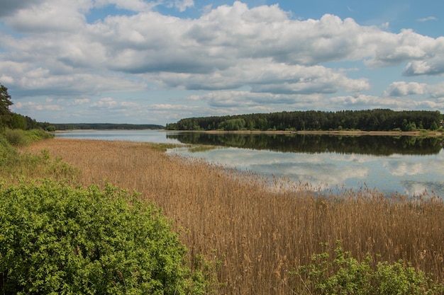 hermoso paisaje rural, lago, cielo con nubes. Bielorrusia.