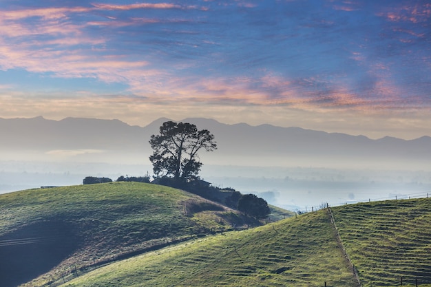 Hermoso paisaje rural de Nueva Zelanda al amanecer.