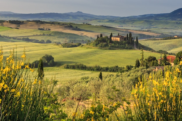 Hermoso paisaje rural de la Toscana en la mañana Italia