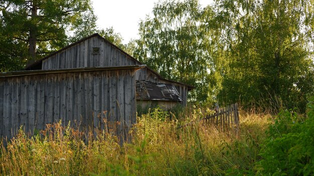 Hermoso paisaje rústico de verano Viejas casas de troncos de madera Región de Vologda