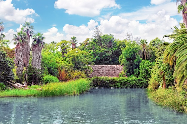 Hermoso paisaje de selva tropical húmeda.