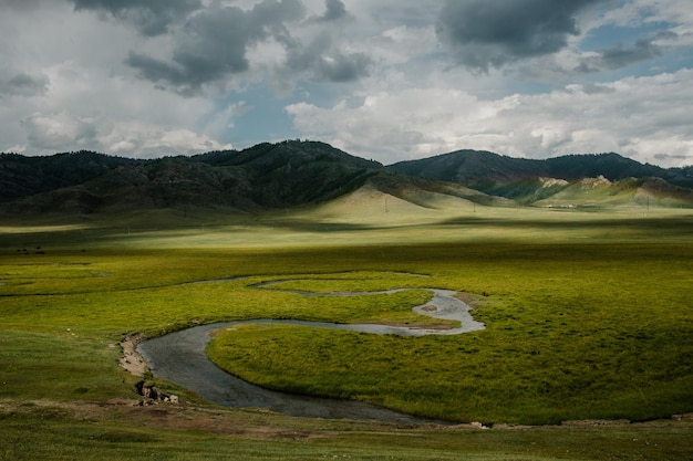 Un hermoso paisaje siberiano con un río sobre un fondo de montañas en la República de Altai