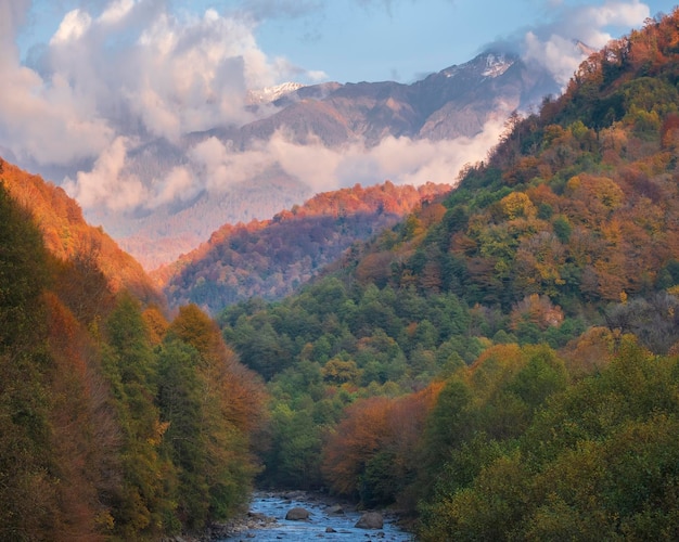 Hermoso paisaje sobre un bosque de otoño en las montañas y un río rápido en un día soleado