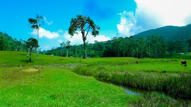 Hermoso paisaje en Tamil Nadu