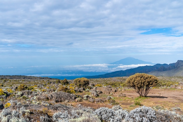 Hermoso paisaje de Tanzania y Kenia desde la montaña Kilimanjaro. Rocas, arbustos y terreno volcánico vacío alrededor del volcán Kilimanjaro.