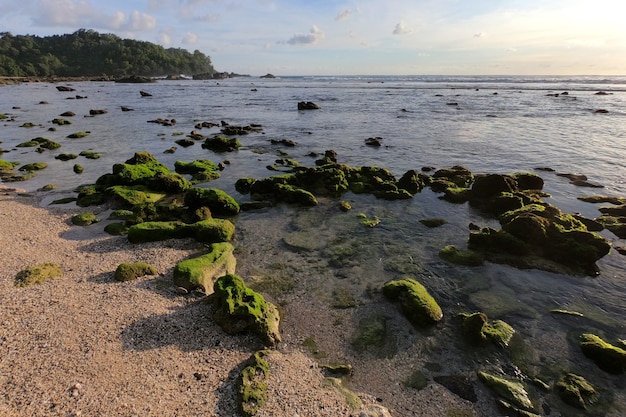 Hermoso paisaje de la tarde en la playa de Wediombo La playa de Wediombo se encuentra en Gunung Kidul Yogyakarta, Indonesia