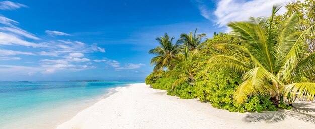 Hermoso paisaje tranquilo. Playa tropical inspiradora, palmeras, mar azul, bahía, cielo soleado, arena