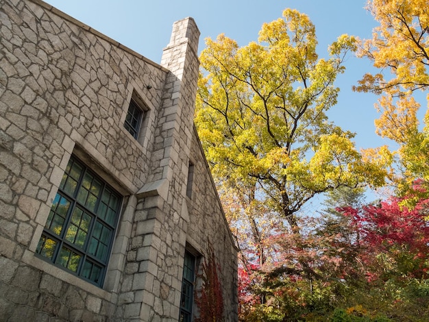 Hermoso paisaje de la Universidad Femenina Ewha en Seúl