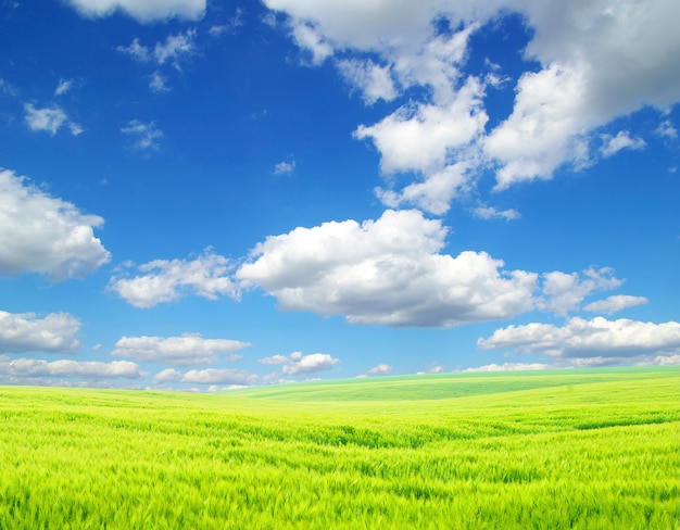 Hermoso paisaje de valle y cielo