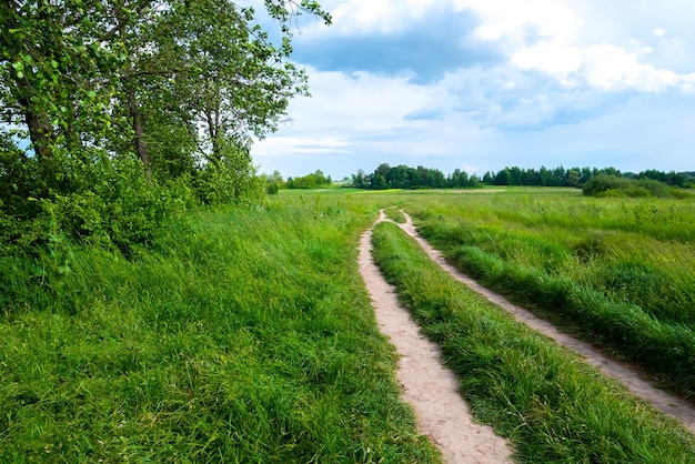 Hermoso paisaje de verano Campo con camino en el campo árboles de hierba verde y espectacular cielo azul con nubes esponjosas