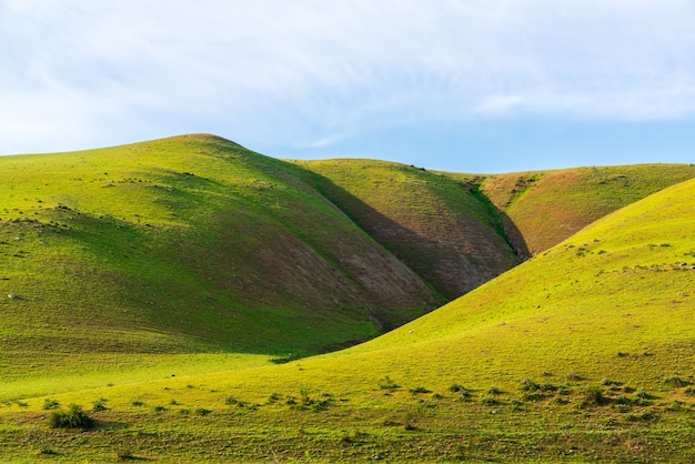 Hermoso paisaje de verano de colinas verdes