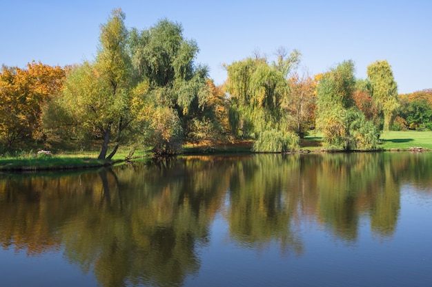 Hermoso paisaje de verano con una costa de árboles y reflejos en el agua.