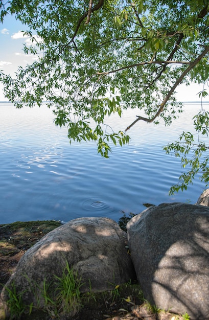 Hermoso paisaje de verano en el lago con rocas y árboles El concepto de turismo interno