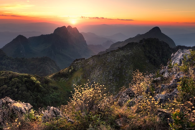 Hermoso paisaje de verano en la montaña con el sol al amanecer